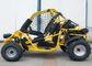 Off Road Kart For Rainy Day , 250cc Go Kart Water Cooled With 3 Headlight Net / Fender
