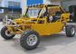 Two Seater Go Kart Buggy 650cc / 1100cc With Efi Lingdi Engine Water Cooled