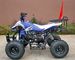 Front / Rear Disc Brake Four Wheelers For Adults , 110cc Four Wheeler Electric Start