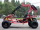Head Track Air Cooled Adult Double Seat Go Kart 200cc With Disc Brake