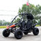 4 Stroke Air Cooled Adult Go Kart Offroad Gokart 200cc 60km/H