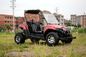 Kids 150cc / 200cc Side By Side Utility Vehicle Four Wheel With Ce Certification
