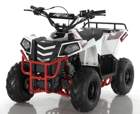 110cc Bore Stroke 52.4mm×49.5mm ATV Quad Bike