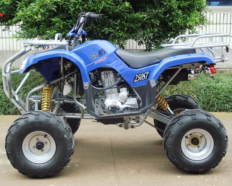 Front Double A - Arm Utility Vehicles ATV 250cc With 8