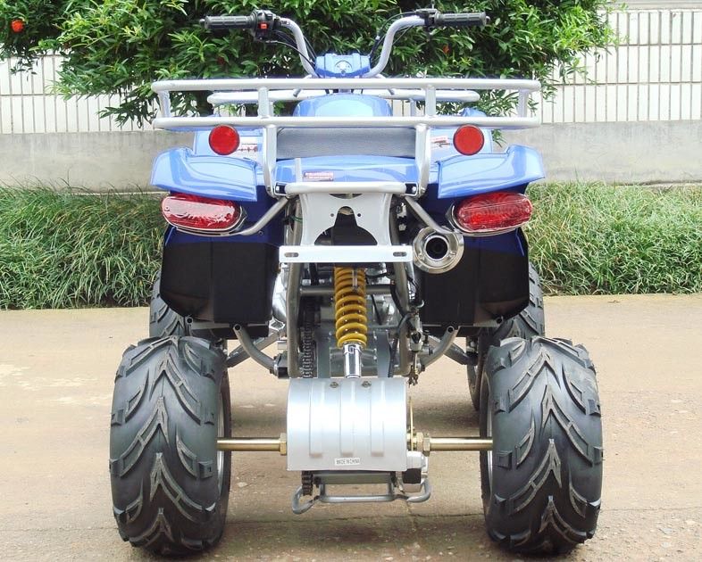 Front Double A - Arm Utility Vehicles ATV 250cc With 8