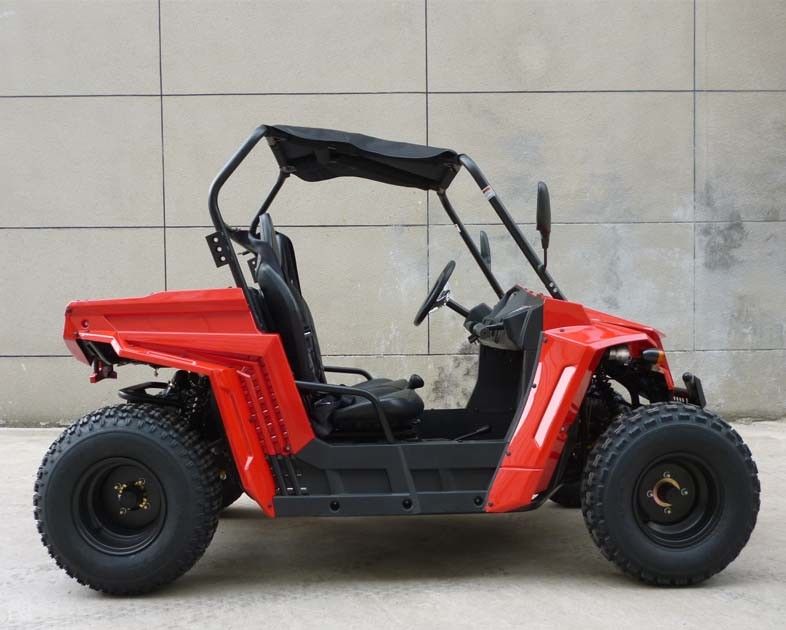 Footbrake / Hydraulic Disc 150cc Gas Utility Vehicles For Kids / Adults EEC EPA DOT