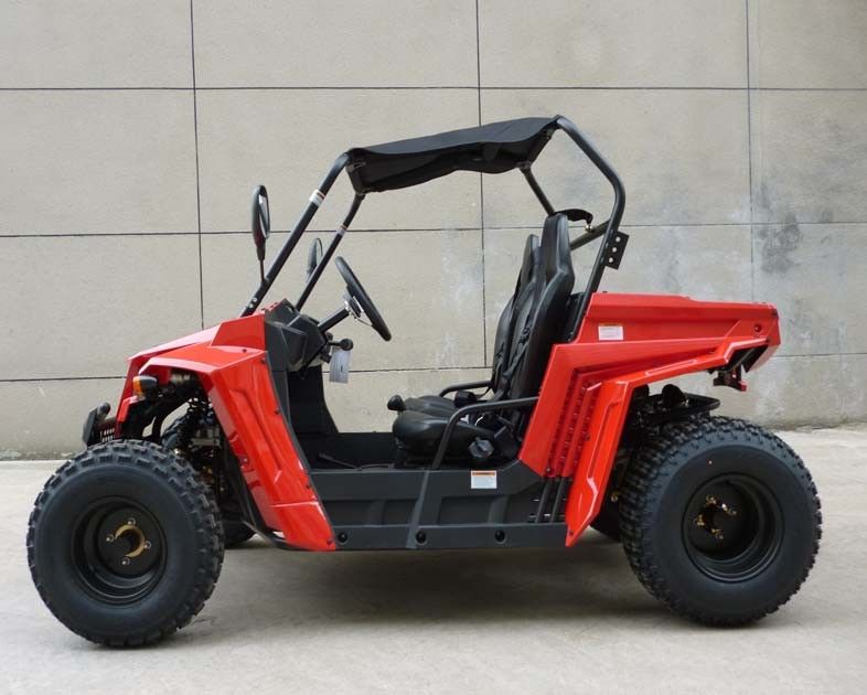 Footbrake / Hydraulic Disc 150cc Gas Utility Vehicles For Kids / Adults EEC EPA DOT