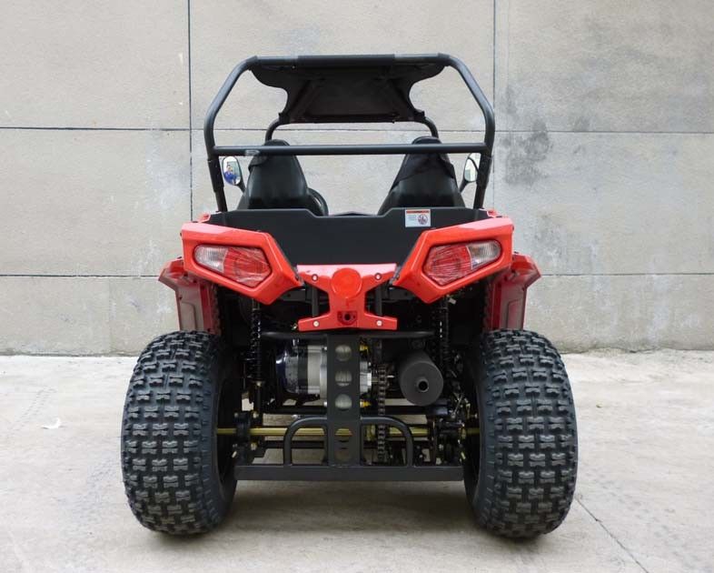 Footbrake / Hydraulic Disc 150cc Gas Utility Vehicles For Kids / Adults EEC EPA DOT