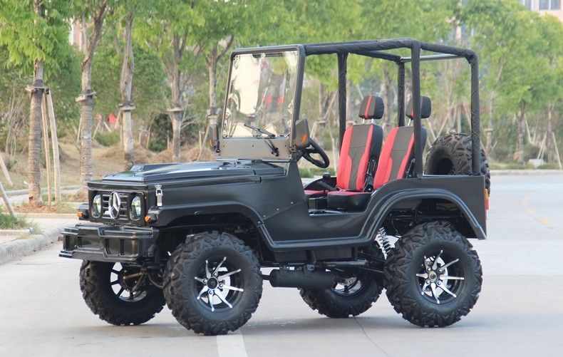 Mini Jeep 4WD Racing ATV Sports Go Kart Buggy For Adult , 300cc Go Kart