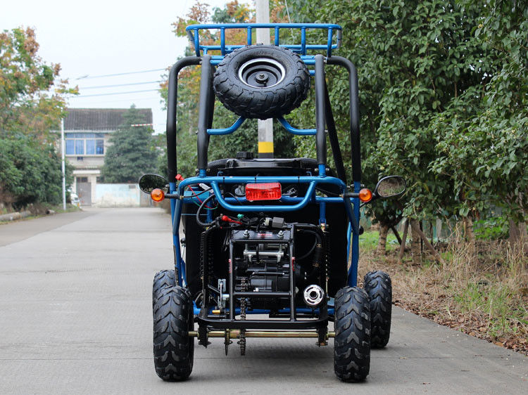 110cc Air Cooled CDI Electirc Start Fully Auto Go Kart Buggy With Rear Disc Brake