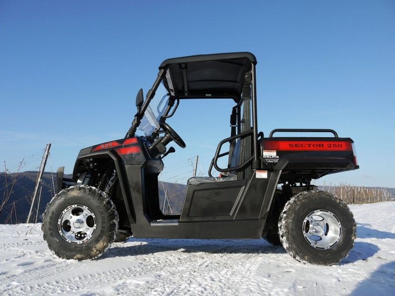 UTV 250 Tiltable Loader Winch Gas Utility Vehicles With Efi - Red , Windsheild And Towbar