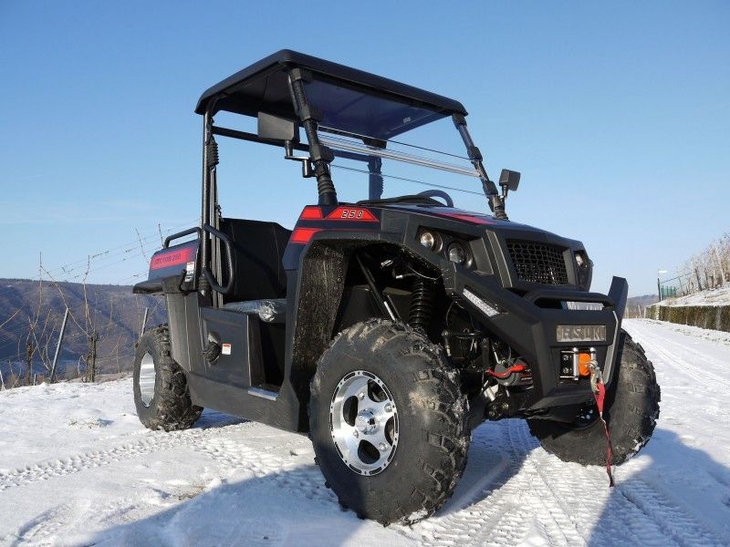 UTV 250 Tiltable Loader Winch Gas Utility Vehicles With Efi - Red , Windsheild And Towbar