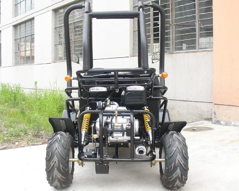110cc Small Size Motorized Go Karts , Adult Go Kart Automatic Clutch 3 Speed With Reverse