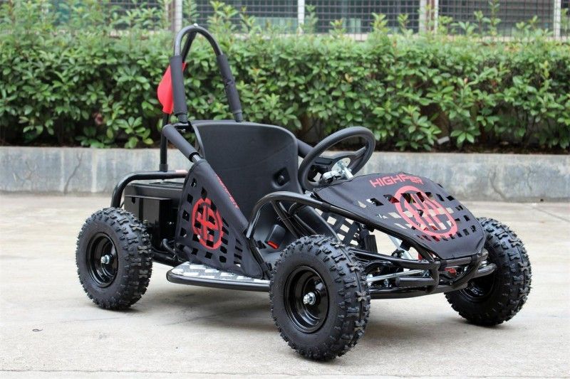 35km/H Two Person Go Kart Buggy , 1000w Kids Off Road Go Kart EPA Approved