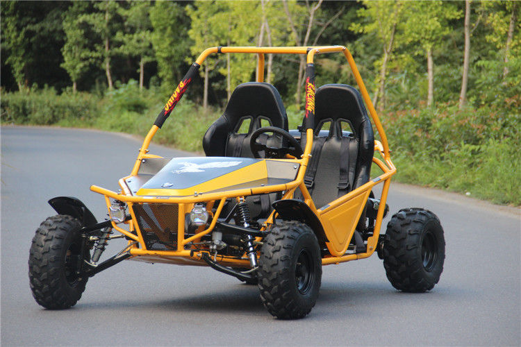 Single Cylinder 4 Stroke 150cc Go Kart Buggy Off Road Go Kart 2 Wheel Drive
