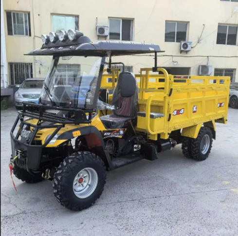 300cc Water Cooling Petrol Engine ATV Agricultural Vehicle Heavy Loading Double-Cylinder Lifting Quad ATV 4X4