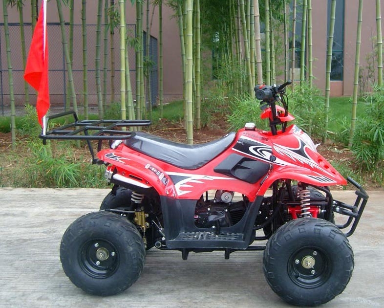 Front Double Swing Arm 70cc ATV Quad Bike 80KG Max Loading High Performance