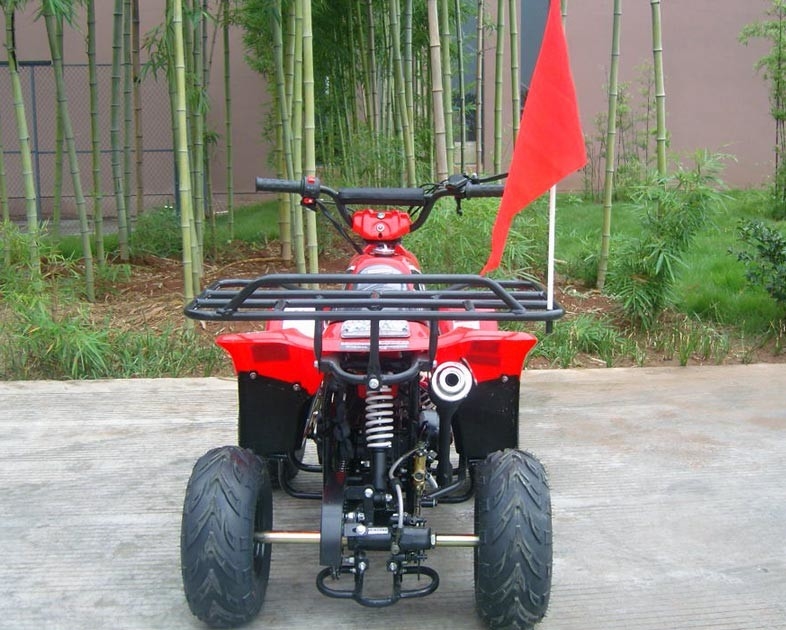 Front Double Swing Arm 70cc ATV Quad Bike 80KG Max Loading High Performance