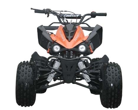 Engine 125cc Fully Auto Youth Racing ATV With Reverse Max Load 65kg Electric Start