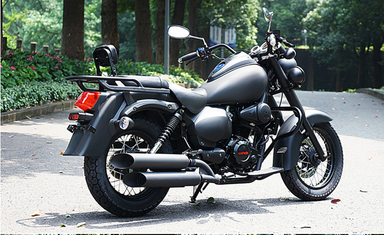 115km/H Max Speed 250cc Chopper Motorcycle 12L Fuel Tank For Forest Road