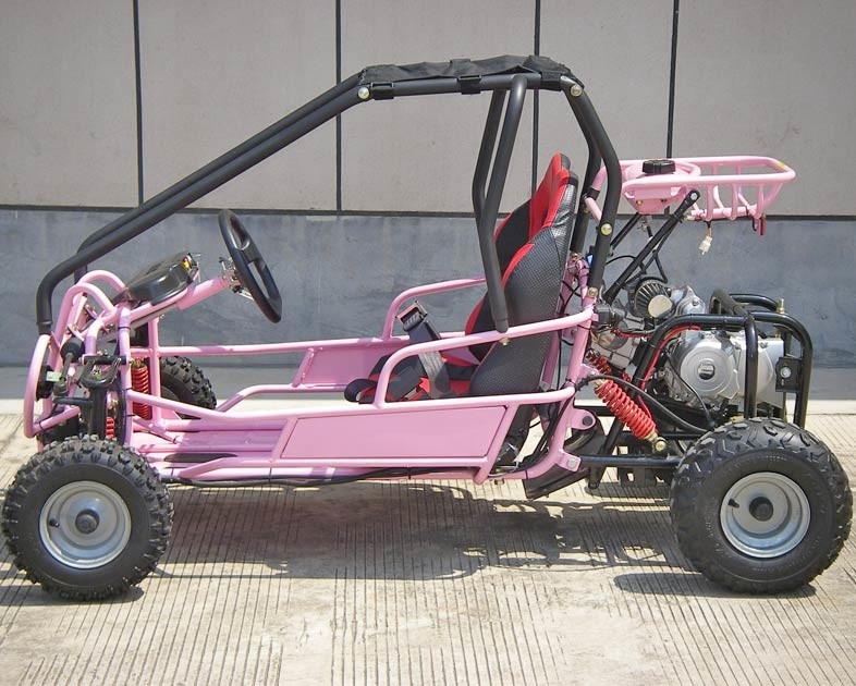 Foot Brake Operation Go Kart Buggy 4 Stroke CTV Electric Start Automatic With Reverse