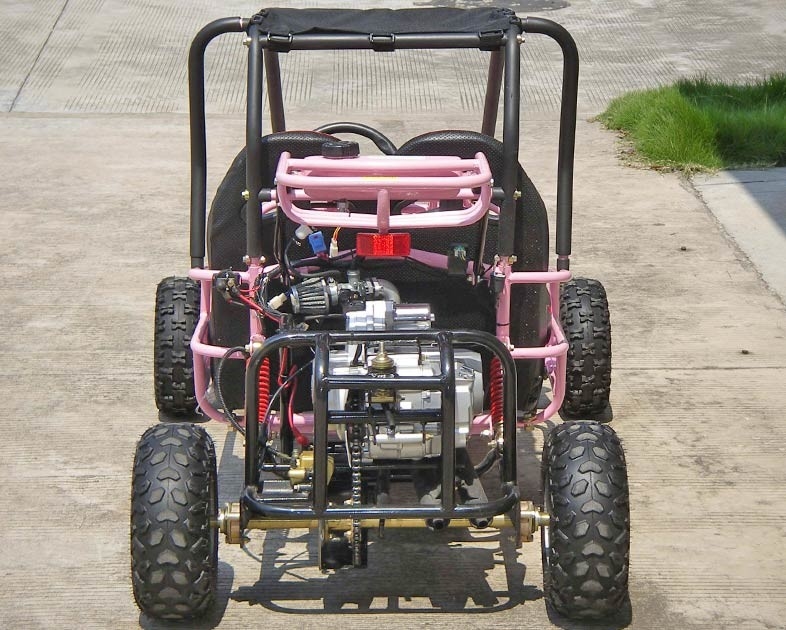 Foot Brake Operation Go Kart Buggy 4 Stroke CTV Electric Start Automatic With Reverse