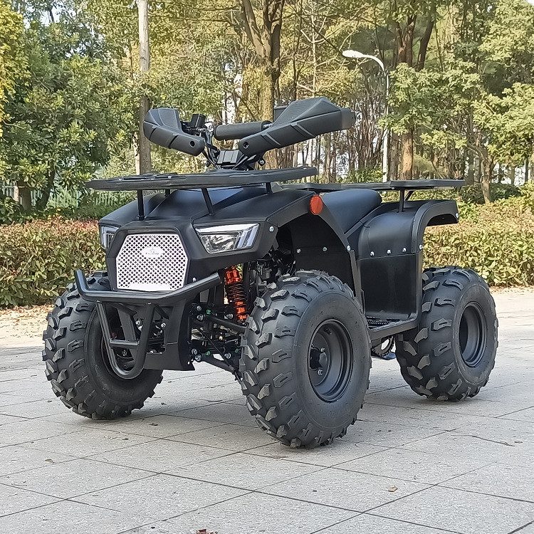 125cc Four Wheel Atv Four Stroke Single Cylinder Max Horsepower 8.0kw 9500r/Min