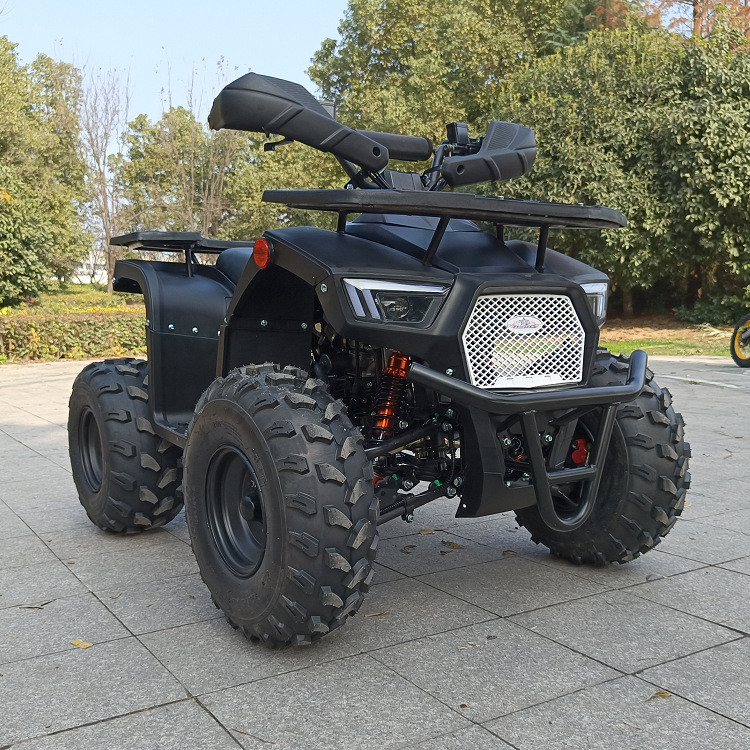 125cc Four Wheel Atv Four Stroke Single Cylinder Max Horsepower 8.0kw 9500r/Min