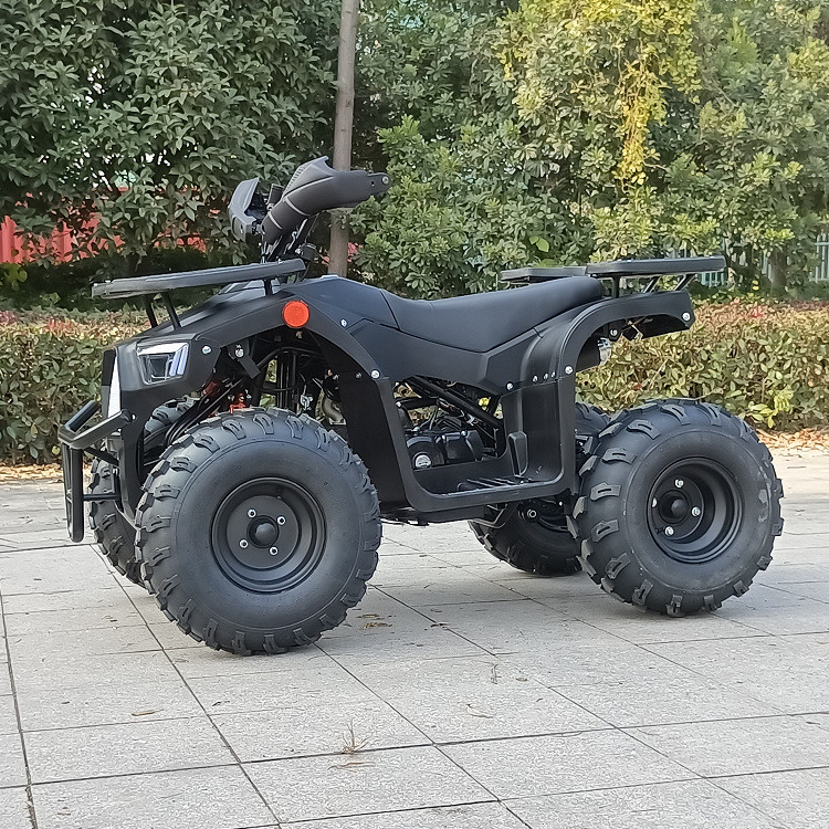 125cc Four Wheel Atv Four Stroke Single Cylinder Max Horsepower 8.0kw 9500r/Min