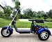2000w Electric Moped Bike 3 Wheel Fat Tire Brushless Dc Motor