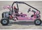 110cc Kids Off Road Go Kart Two Seats Rear Rack With CVT Transmission / Reverse