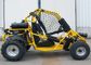 Off Road Kart For Rainy Day , 250cc Go Kart Water Cooled With 3 Headlight Net / Fender