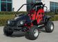 Water Cooling 250cc Cool Go Karts , 2 Seater Go Kart With CVT Clutch