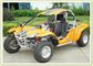 1100cc Go Karts For Adults , Water Cooling 4 Wheel Drive Vehicles And Winch
