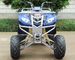 Front Double A - Arm Utility Vehicles ATV 250cc With 8" Rim Manual Clutch 4 - Speed + Reverse