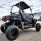 200cc Highlander UTV Fuel Injected Utility Vehicle Gas Golf Cart Alternate Fully Loaded