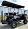 48v Electric Golf Cart Lifted Loaded EMACHINE Black