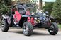 1100CC Double Arm-Swing Go Kart Buggy With 4 Cylinder Liquid Cooling , Independent Suspension