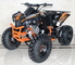 125cc Quad Utility 4 Stroke ATV Fully Auto With Reverse