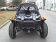 Automatic 450cc Subaru Engine 2 Wheel Go Kart Buggy With Closed Cover