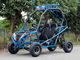 110cc Air Cooled CDI Electirc Start Fully Auto Go Kart Buggy With Rear Disc Brake