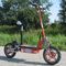 1000w Foldable Electric Scooter With Big Wheel Rim , Front And Rear Disc Brake