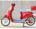 Hand Brake 350w Electric Moped Bike With Permanent Magnet Brushed DC Motor