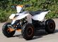 49cc Youth Racing ATV Utility Vehicles Single-Cylinder Air Cooled