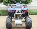 Water Cooled 250cc Utility Vehicles ATV With Electric Start / Manual Clutch
