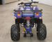 4 Wheeler Motorcycle / 150cc Youth ATV With Four Stroke And Single Cylinder