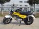 Skyteam T - Rex 125 125cc Mini Bike , 2 People Motorcycle With 4 Speed Gear