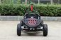 35km/H Two Person Go Kart Buggy , 1000w Kids Off Road Go Kart EPA Approved