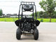 Air Cool Fully Auto CDI 125cc Adults Go Kart Buggy With Disc Brake