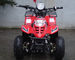 70CC / 90CC / 110CC Single Cylinder Four Stroke Atv With Front Double Swing Arm